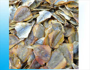 わさびしょうゆ焼あじ画像TOPIX用