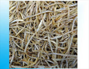 燻製細切り焼いわしTOPIX用